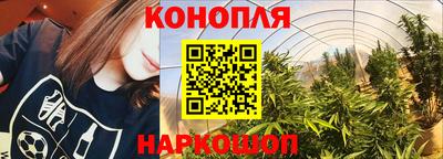 дурь Ставрополь