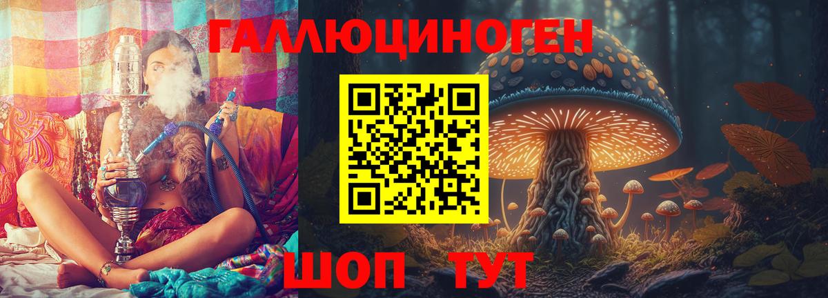Галлюциногенные грибы Magic Shrooms  Вход с VPN  Тверь  Псилоцибиновые грибы ЛСД 
