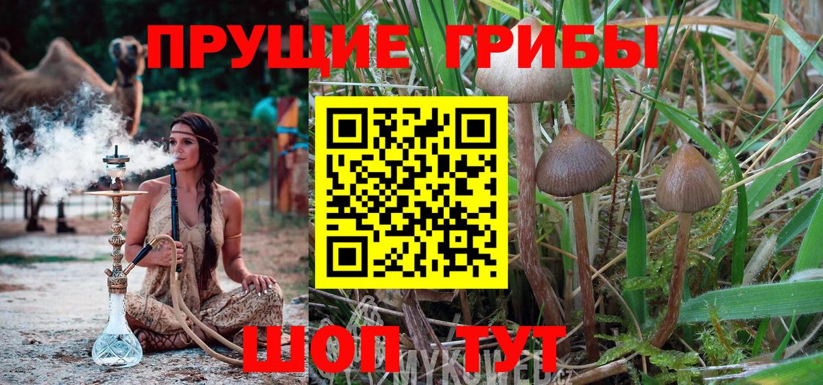 Псилоцибиновые грибы MAGIC MUSHROOMS Тверь
